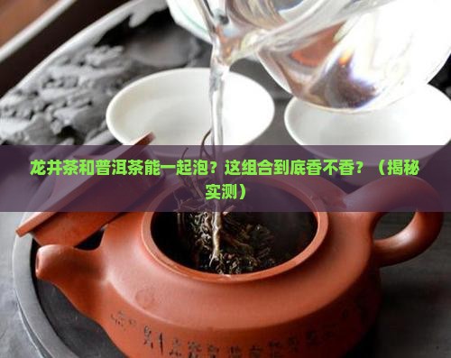 龙井茶和普洱茶能一起泡吗