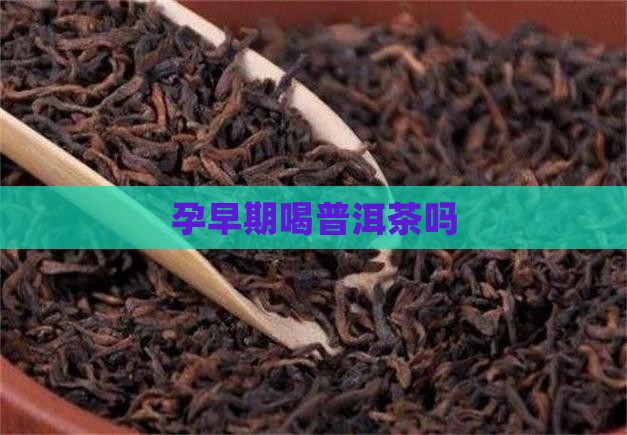 孕早期喝普洱茶吗