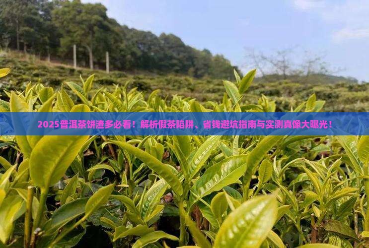 普洱茶饼很多渣是假吗