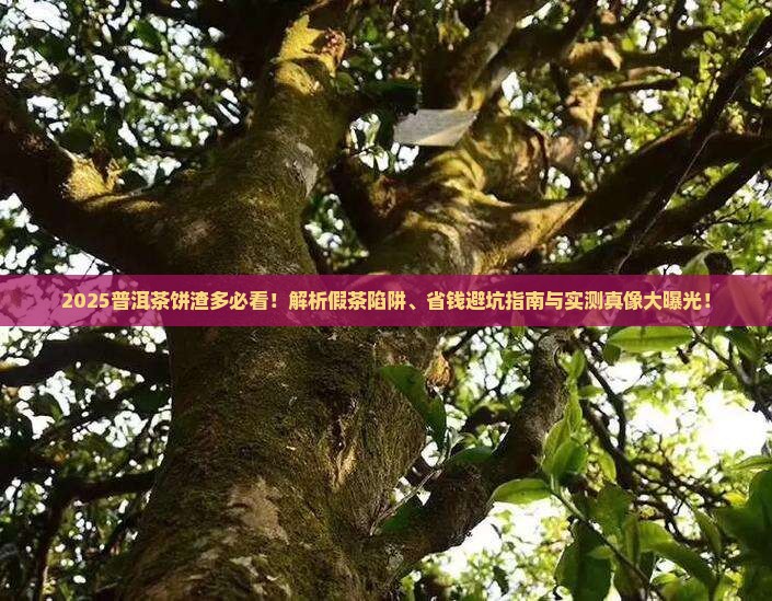 普洱茶饼很多渣是假吗
