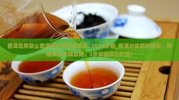 普洱是黑茶么普洱属红茶还是黑茶