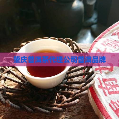 肇庆普洱茶品牌代理