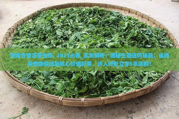 普闻仓普洱茶生茶