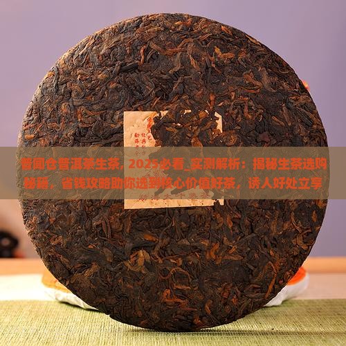 普闻仓普洱茶生茶