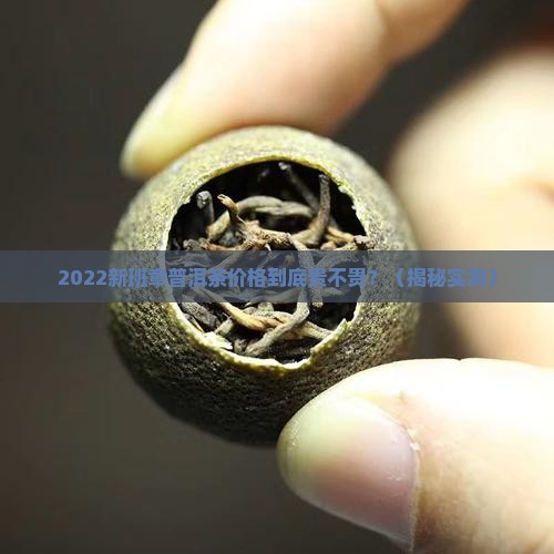 2022新班章普洱茶价格