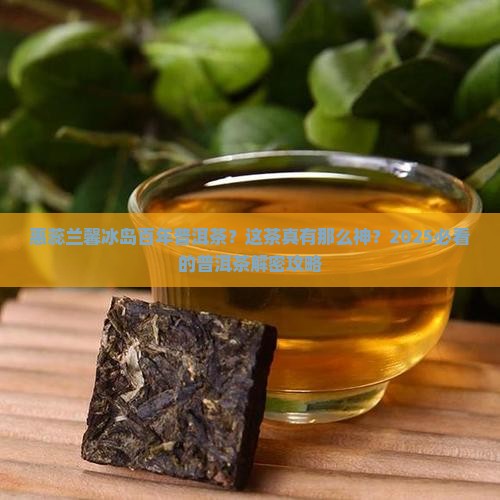 惠蕊兰馨冰岛百年普洱茶
