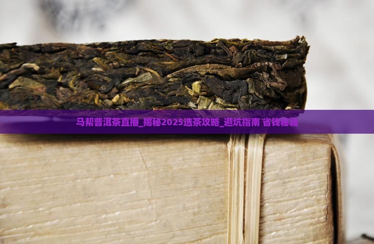 马帮普洱茶直播