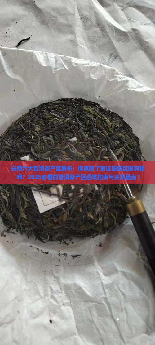 云南六大普洱茶产区