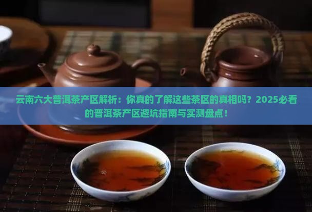 云南六大普洱茶产区