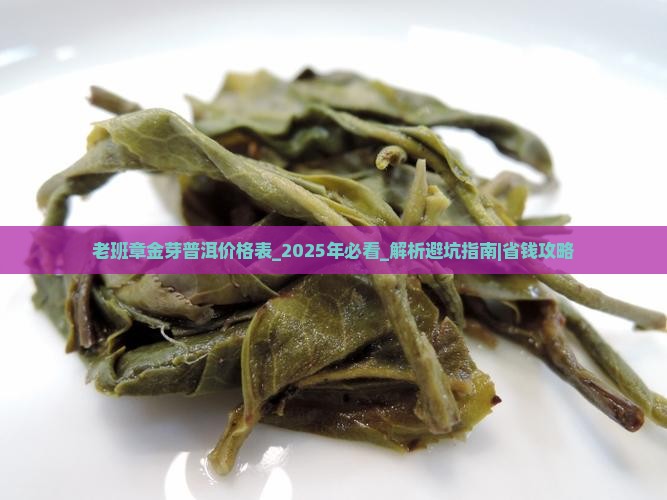 老班章金芽普洱价格表
