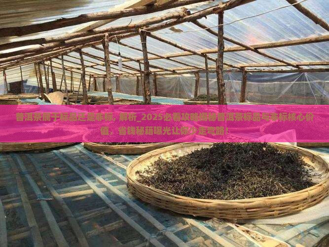 普洱茶属于标品还是非标
