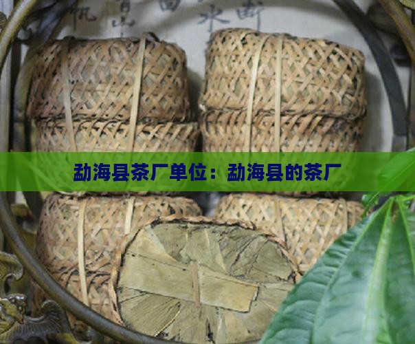 勐海县茶厂单位