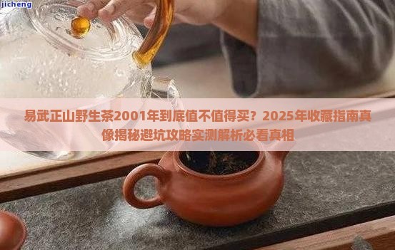 易武正山野生茶2001年