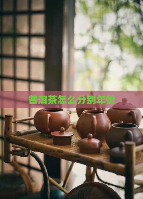 普洱茶怎么分别年份