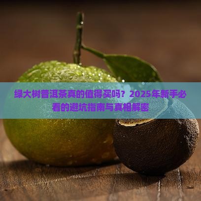 绿大树普洱茶种类