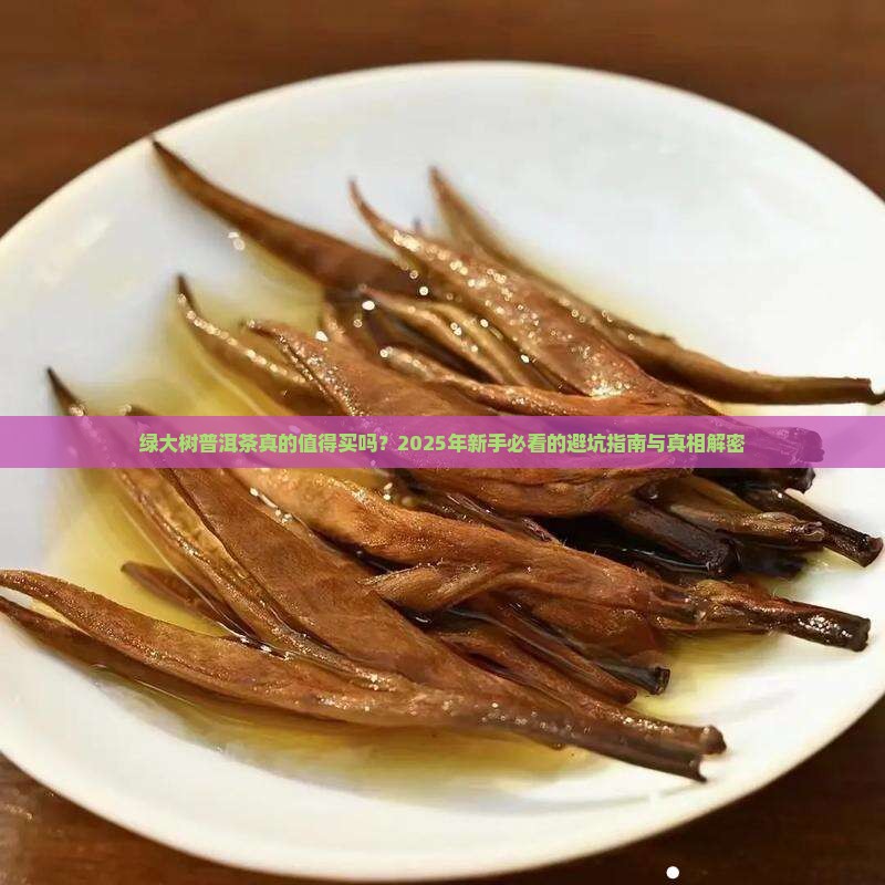 绿大树普洱茶种类