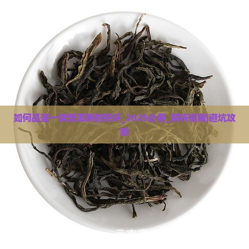 如何品鉴一款普洱茶的好坏