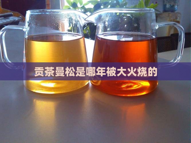 曼松贡茶是哪年被大火烧的