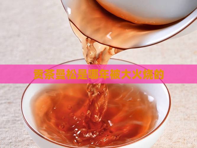 曼松贡茶是哪年被大火烧的