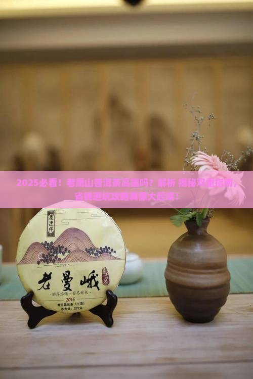 老鹰山普洱茶是高端茶吗