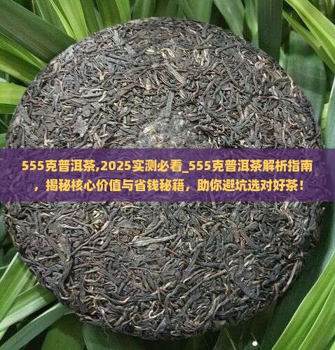 555克普洱茶