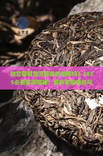 故宫明朝普洱茶真的能喝吗