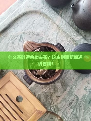 什么茶叶适合功夫茶