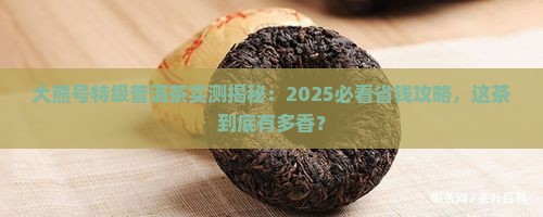 大熊号特级普洱茶