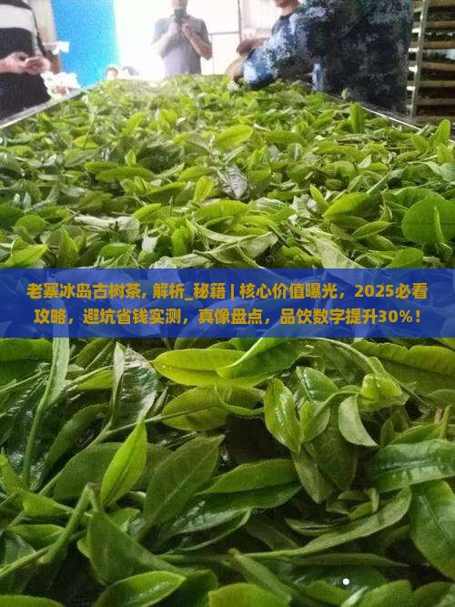 老寨冰岛古树茶