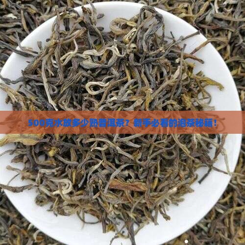 500克水放多少熟普洱茶