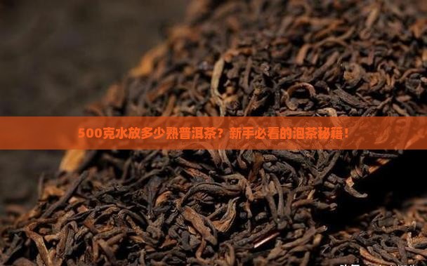 500克水放多少熟普洱茶