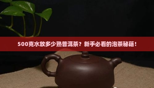500克水放多少熟普洱茶