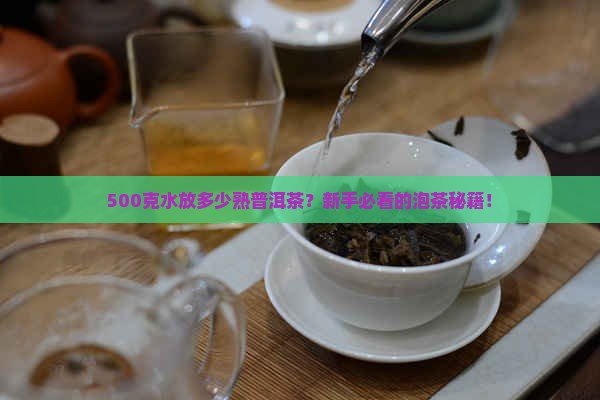 500克水放多少熟普洱茶