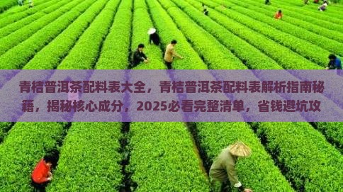 青桔普洱茶配料表大全