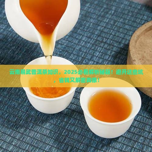 云南易武普洱茶知识