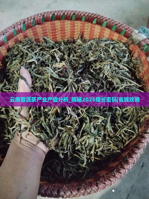 云南普洱茶产业产值分析