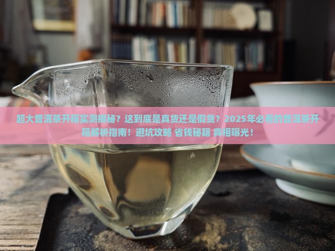 超大普洱茶开箱