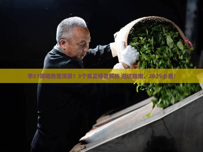 孕37周可以喝熟普洱茶吗