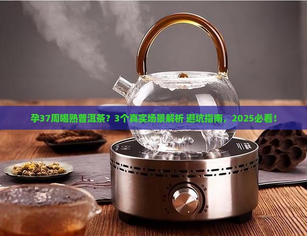 孕37周可以喝熟普洱茶吗