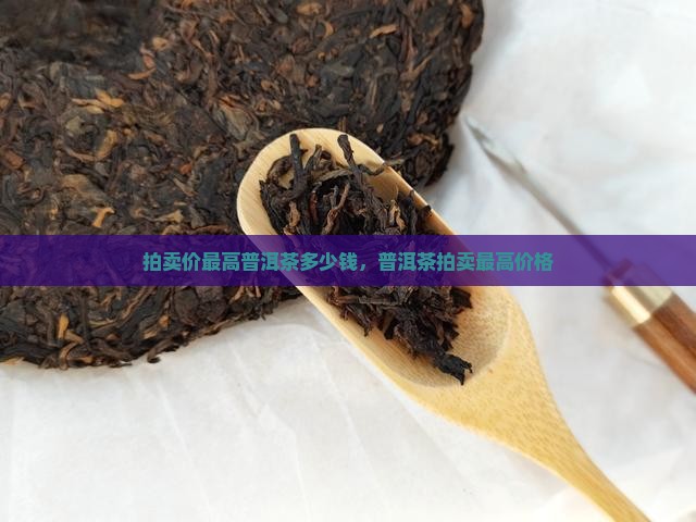 拍卖价最高普洱茶多少钱