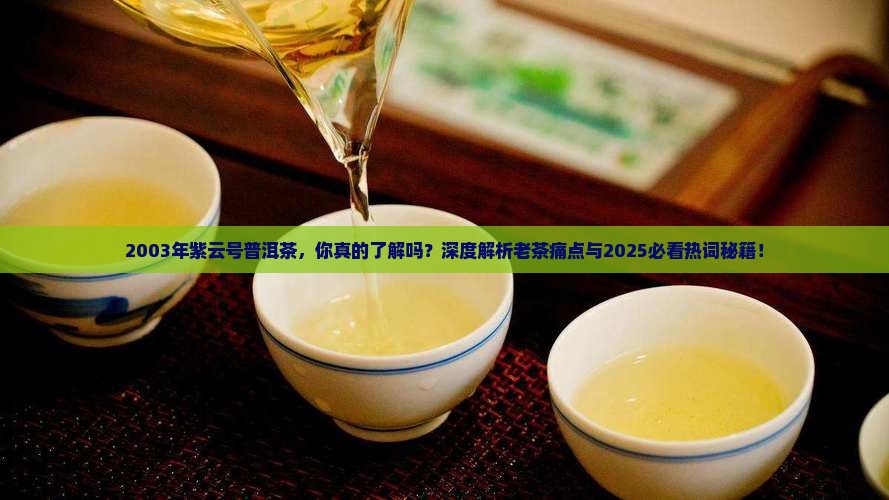 2003年紫云号普洱茶