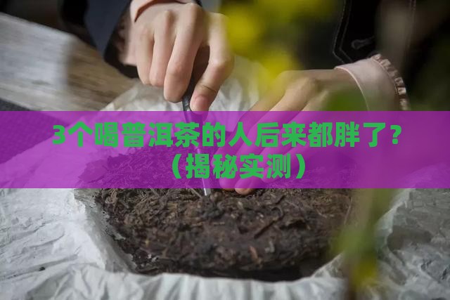 普洱茶为什么越喝越胖