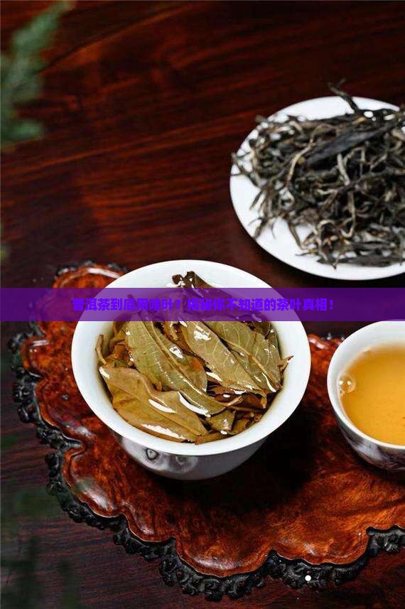 包普洱茶的是什么叶子