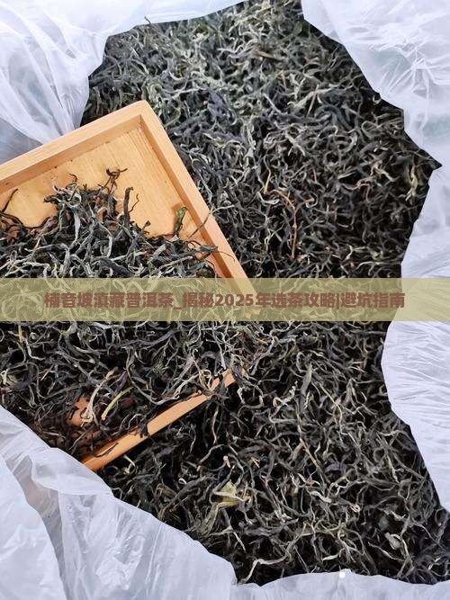 楠音坡滇藏普洱茶 楠音坡滇藏普洱茶