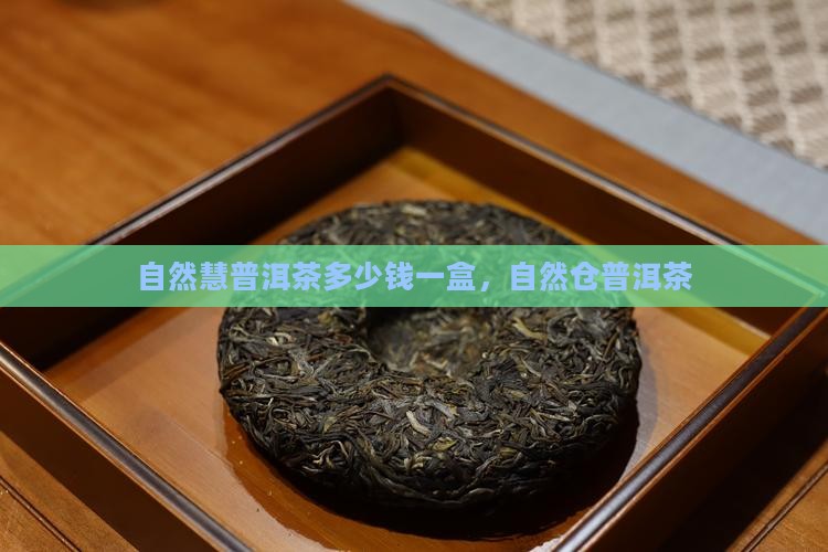 自然慧普洱茶多少钱