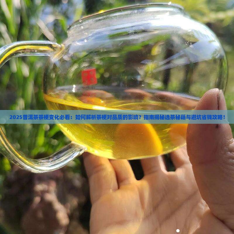 如何看待普洱茶的茶梗变化 如何看待普洱茶的茶梗变化