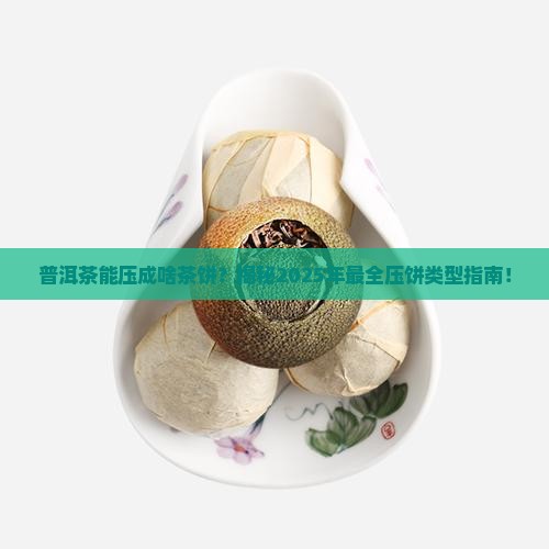 普洱茶可以压成什么茶饼