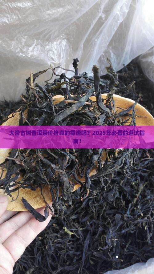大誉古树普洱茶价格