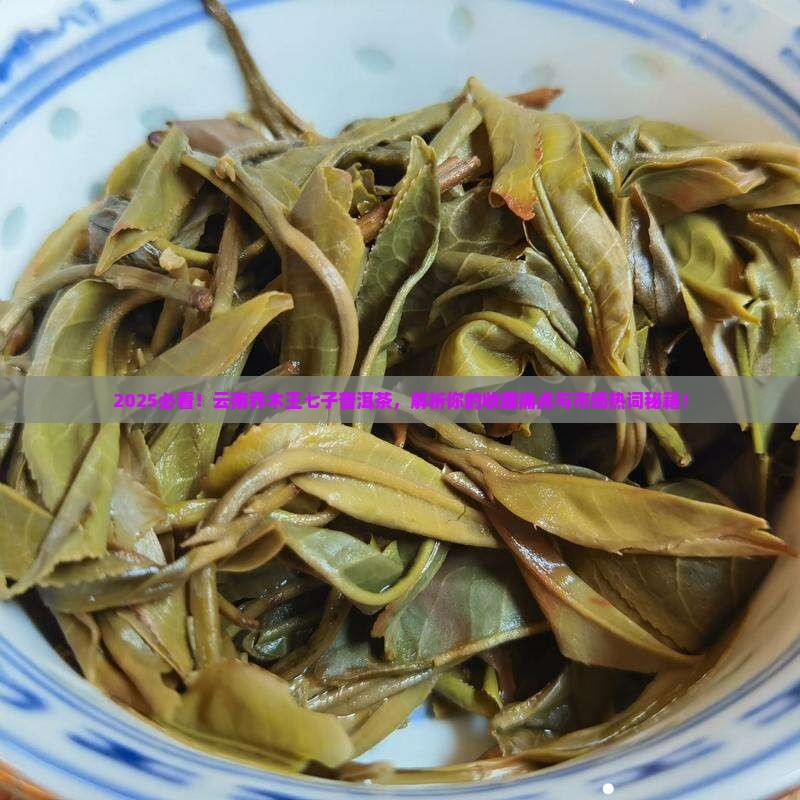 云南乔木王七子普洱茶