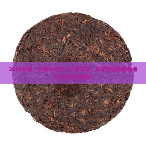 云南乔木王七子普洱茶